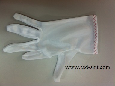 Cleanroom Glove